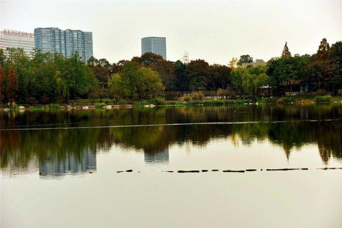 行走成都 深秋花园