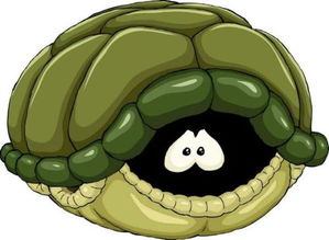 有一个动漫里有一只乌龟叫憨巴龟的动漫,叫什么名字 很久之前的动画, 