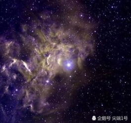 人类被外星人圈养 地球是个动物园 科学家 真相或已浮出水面