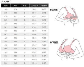 胸罩上的各个数字分别指什么尺码 