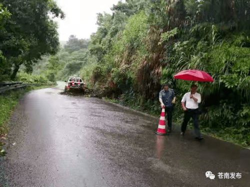 春晖路免费停车场,苍南体育馆打篮球的入口在哪里