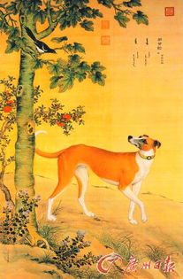 狗最早被驯化或起源于华南 