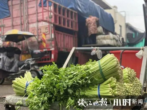杭城蔬菜涨价了吗 供应充足吗