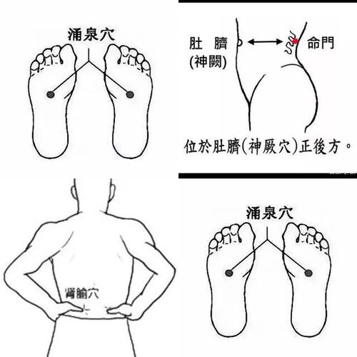 很多人都有过肾虚的经历,腰膝酸软,头晕耳鸣,没有精神上班