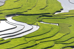 空中蔬菜种植农场（空中菜地设计图）