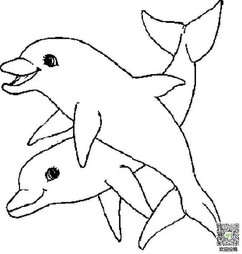 海豚儿童画,海豚儿童画图片,海豚简笔画图片大全 