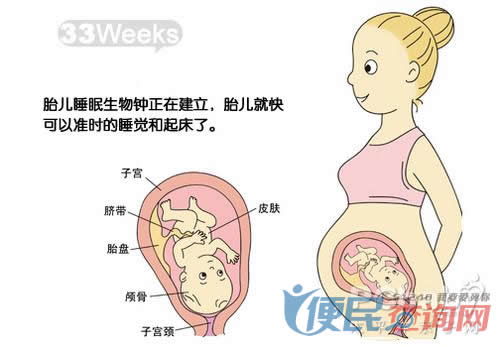 怀孕33周(33周和34周的区别)