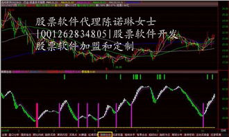 怎样代理股票软件？