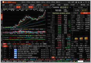 东方财富通股票数据下载完成后到哪里去找