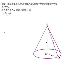 圆锥母线 圆锥的母线是什么东西