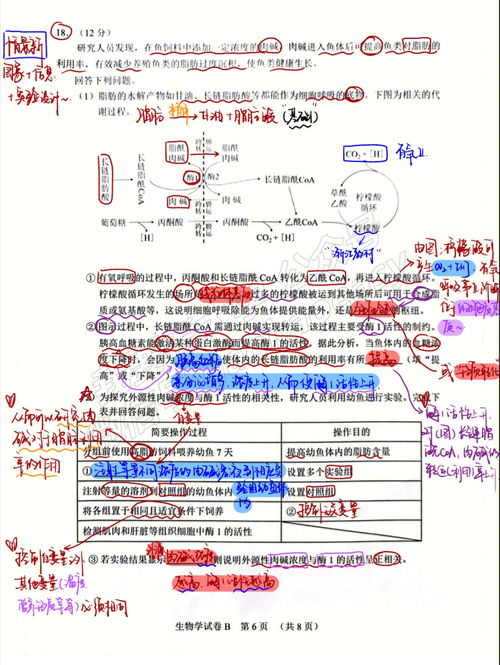 2023广州高三二模生物大题解析 