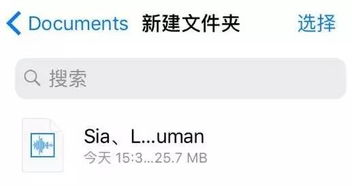 iOS11玩机技巧 音乐发烧友必备,教你如何播放FLAC无损音乐 