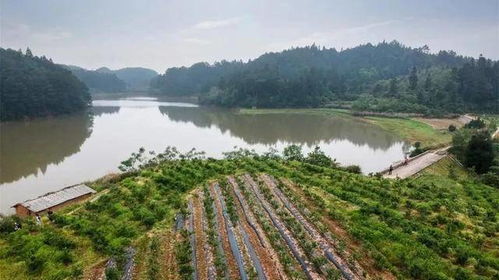 重庆涪陵同乐乡