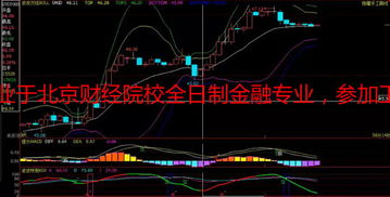 股票分析软件不知道哪个比较好？我想要知道什么股票分析软件适合新手炒股使用？大家给我介绍一款