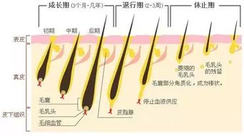 如何一秒毁掉小清新 你们来感受下