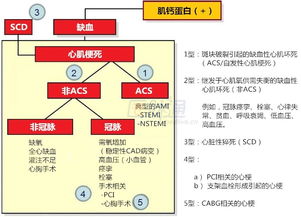 关于肌钙蛋白 3张图 4个重要问题,一定要掌握