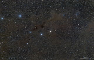 天文图片精选 星际尘埃中绽放的鸢尾花星云 