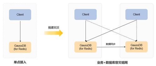 数据库双活和存储双活有什么不同