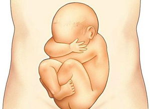 原创备孕成功后，孕妈的这种“举动”，要改掉，对自己和胎儿会更好！