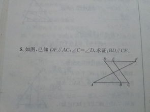 "；分歧格"；是什么意思啊？谁能详细解答啊？谢谢