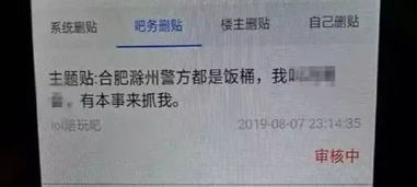 滁州一男子竟网络发帖辱骂 叫嚣公安机关 结果...