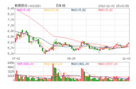 新朋股份 怎么样啊