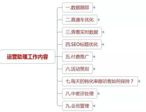 网站运营助理主要做什么工作