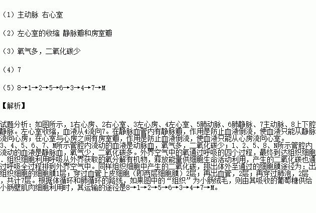 下面是血液循环示意图.据图回答下列问题 1 图中的标号7所指的是 ,标号2指的是 , 2 试说明 血液从4流向7的动力来自于 . 控制血液的流向为N 8 1 2.而不会倒流的结构有 