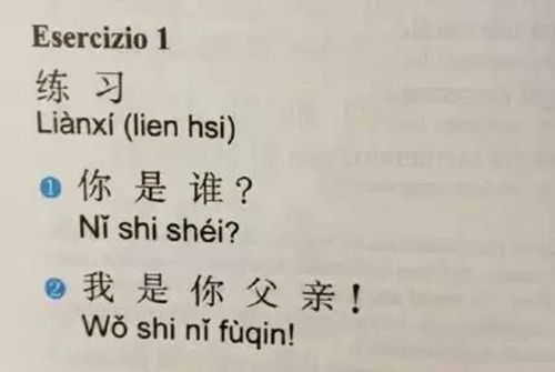 jdz最有可能的汉语意思