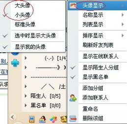 好友列表图标显示大图像小图像怎么弄啊 
