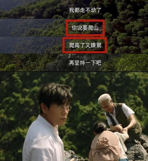 秦昊带你去爬山什么梗 带你去爬山啊出处 