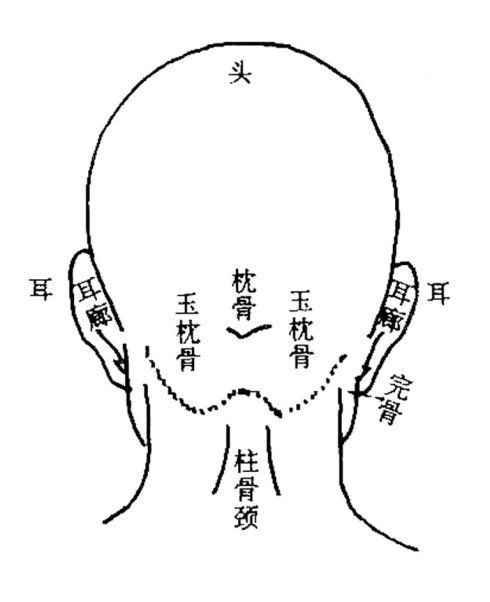 额头有 龙角骨 ,人中龙凤象,出人头地