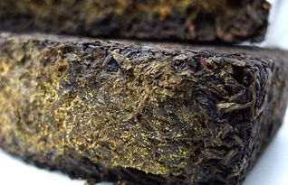 安化黑茶怎么分辨金花,黑茶的金花是什么
