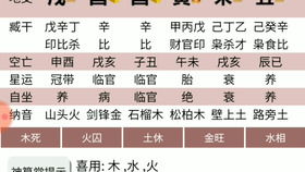 解读八字77 哔哩哔哩 ゜ ゜ つロ 干杯 bilibili 