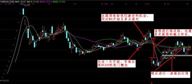 次新股选股技巧