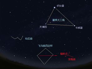 今晚有流星雨,约不约 内附攻略