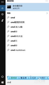 win10系统怎么转码QLV