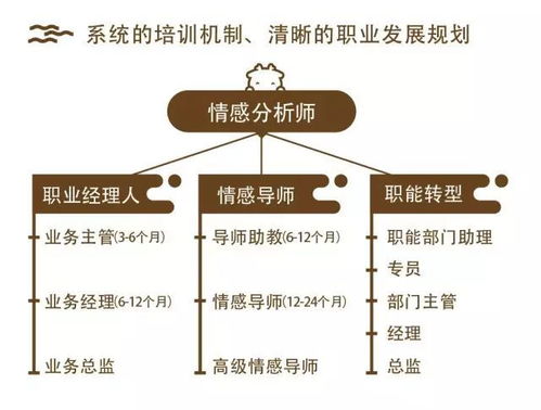 有为社 清晰的职业规划,每年2次调薪,你还在犹豫 