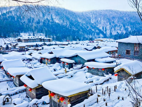 东北有几个雪乡(东北的雪乡在哪个城市)