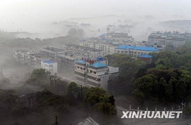 4月6日晨,武汉东湖周边地区出现平流雾天气,使得这一带呈现出雾海景观。    摄 