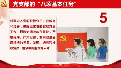 党课心得查重技巧分享