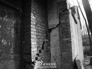 安徽阜阳地震