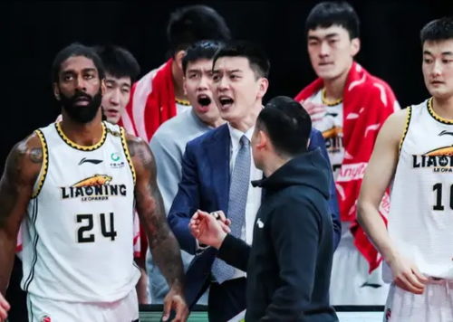 北京男篮比赛日，您可以做些什么来加油？