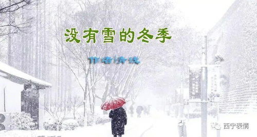 青浅 没有雪的冬季