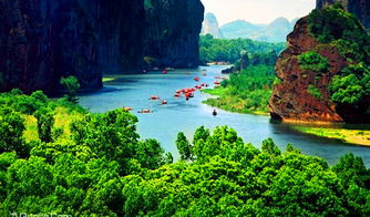 龙虎山风景区旅游门票(龙虎山风景区门票多少)