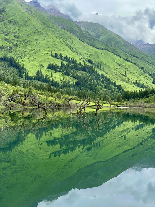 四姑娘山不自驾不跟团的旅行攻略 