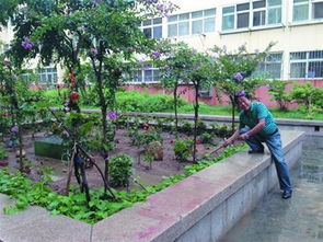 省出零花钱给社区建花坛 