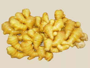 中国四大生姜之乡 全国最大的生姜批发市场