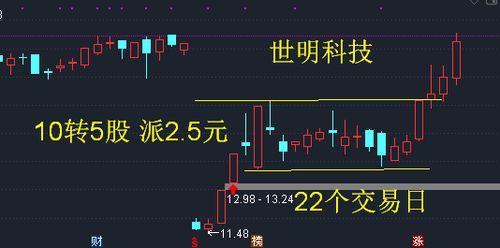 除权股 一般会怎么走