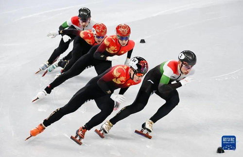 冬奥会短道速滑参赛运动员中国短道速滑队北京冬奥会名单出炉